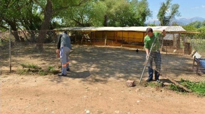 Konyaaltı&rsquo;nda Hayvan Ağıllarına Denetim