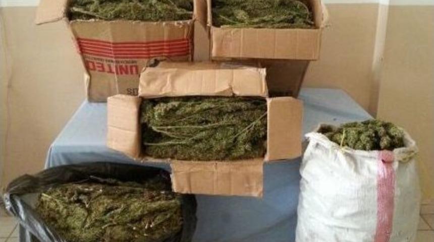 İki Ayrı Denetimde 56 Kilo Esrar Ele Ge&ccedil;irildi: 9 G&ouml;zaltı