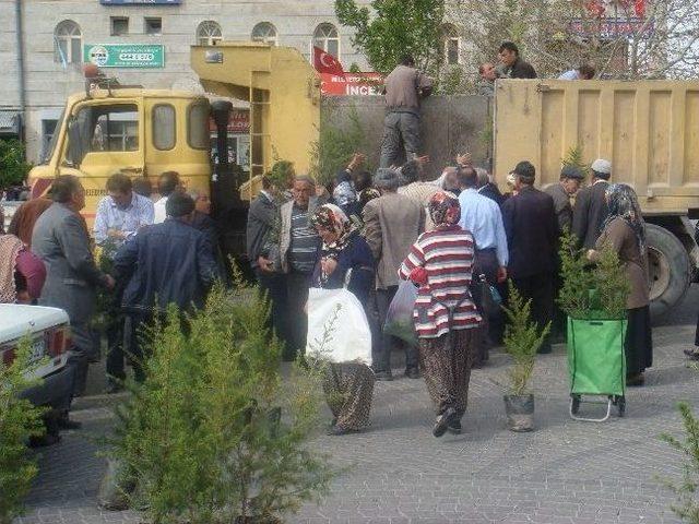 İncesu Belediyesi Fidan Dağıttı