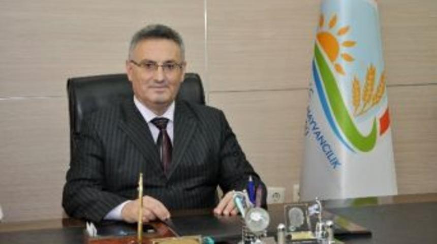 2013 Yılı Ana&ccedil; Sığır Desteklemeleri, Yetiştirici İl &Ouml;rg&uuml;tlerinin Hesaplarına Yattı