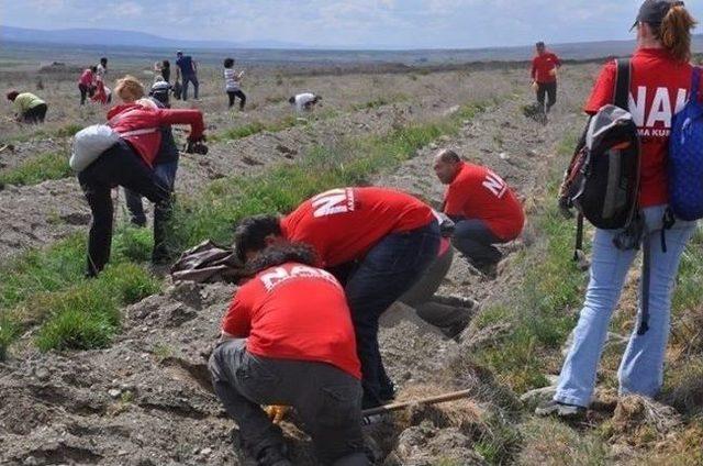 Nak’tan Kent Konseyi Ormanı’na Destek