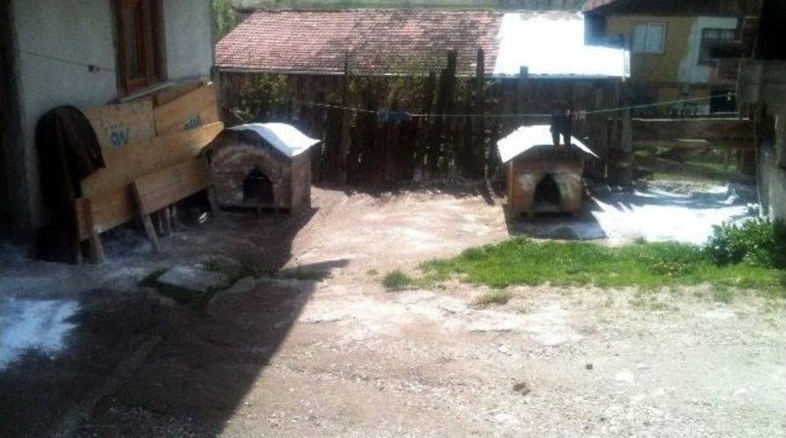 K&ouml;y&uuml; Kuduz Tehlikesiyle Karantinaya Aldılar