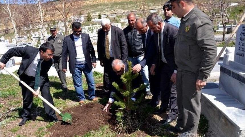 Sarıkamış Şehir Mezarlığı Ağa&ccedil;landırılıyor