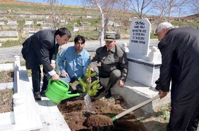 Sarıkamış Şehir Mezarlığı Ağaçlandırılıyor