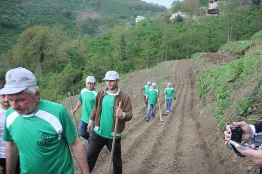 Fındığa Alternatif &Uuml;r&uuml;n Arayışı