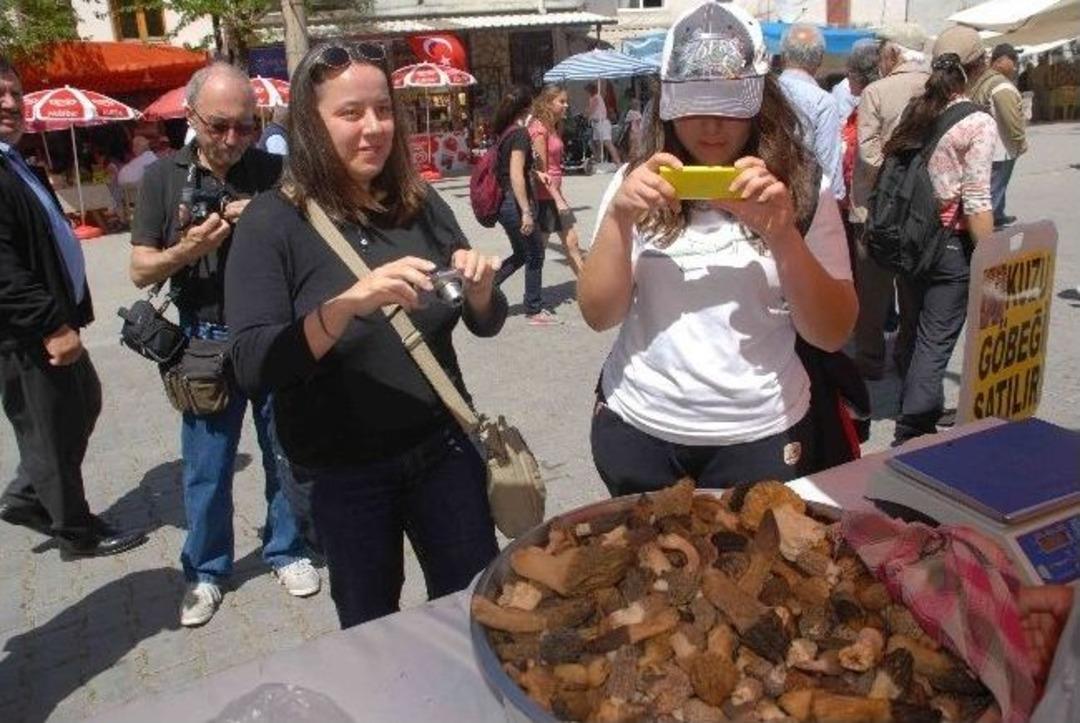 Kuzug&ouml;beği Mantar Festivali &Uuml;z&uuml;ml&uuml;&rsquo;ye Canlılık Getirdi