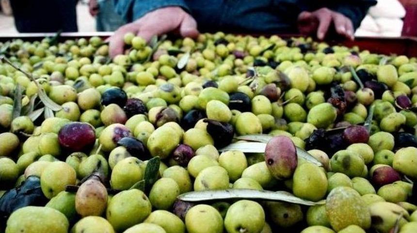 Ad&uuml;&rsquo;de Zehirsiz Tuzak Geliştirildi