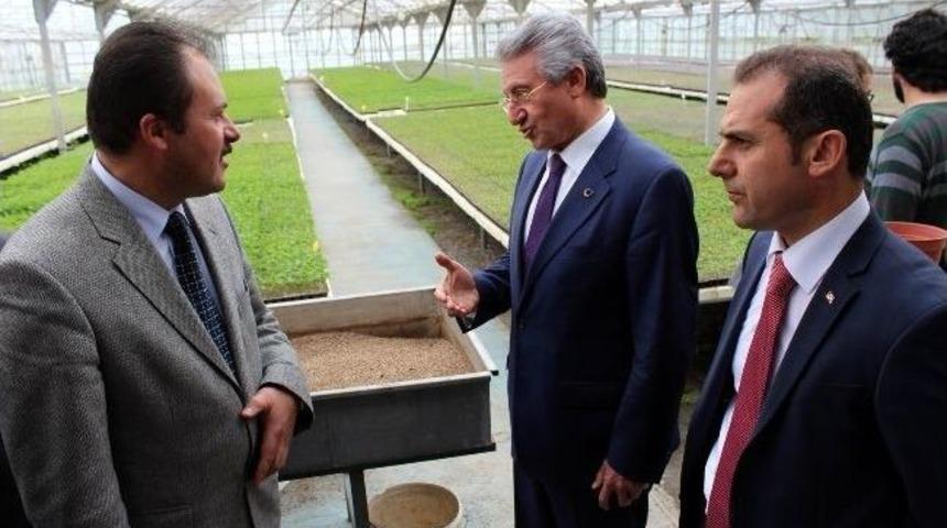 Karakelle Bah&ccedil;e K&uuml;lt&uuml;rleri Araştırma İstasyonu&rsquo;nu Ziyaret Etti