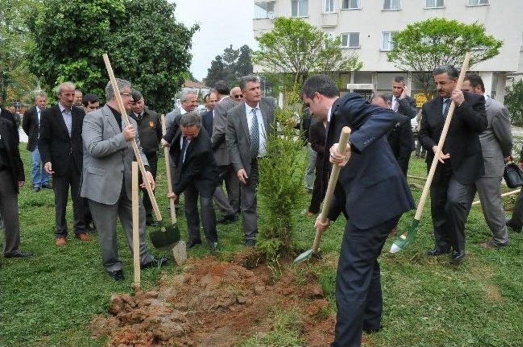 Ak&ccedil;akoca Protokol&uuml; Ağa&ccedil; Dikti