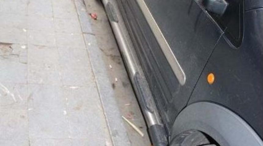 Oltu'da Otomobilin Altında Kalan Kedi Y&uuml;rek Burktu