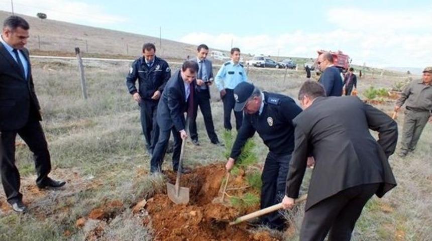 Altıntaş Polisi'nden Kutlu Doğum Ormanı