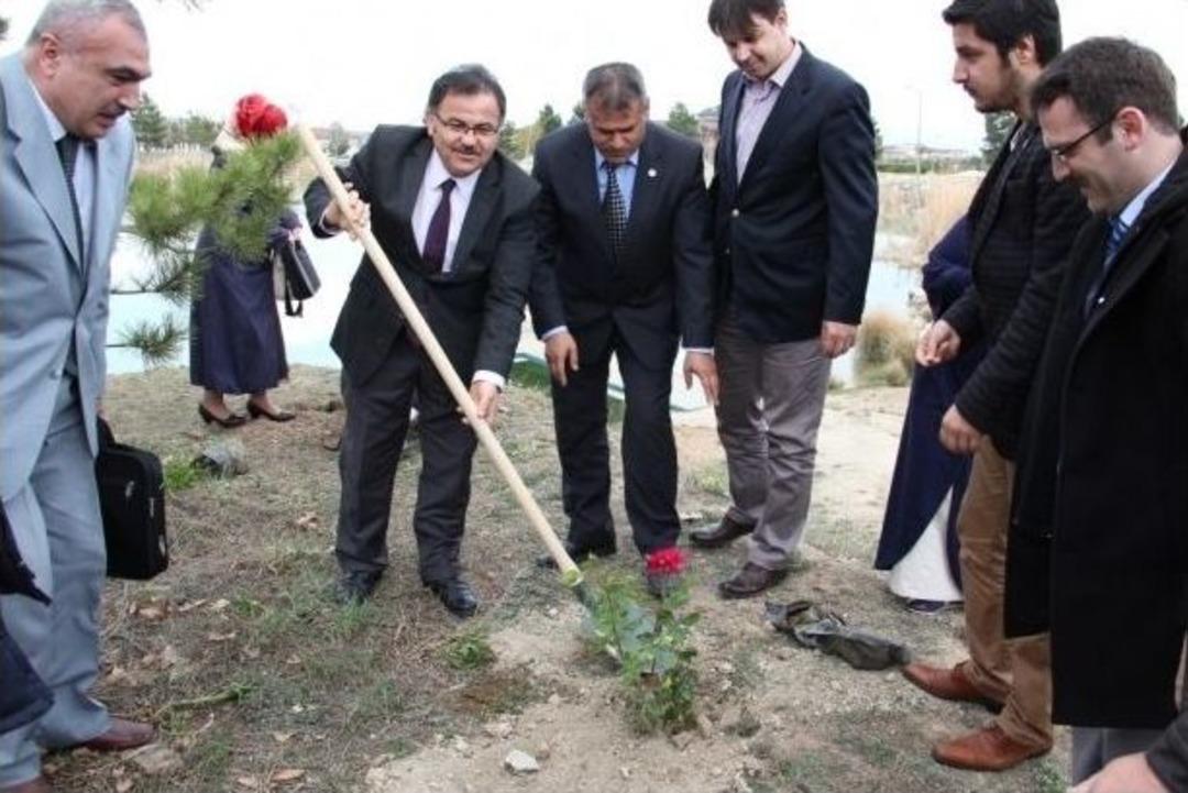 'en Sevgili'ye 571 G&uuml;l...