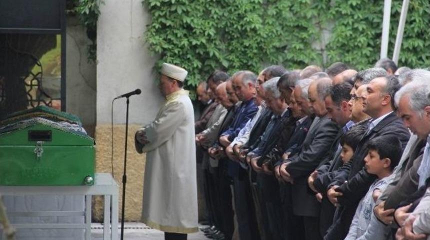 Tapu Kadastro Genel M&uuml;d&uuml;r&uuml; G&uuml;ney&rsquo;in Acı G&uuml;n&uuml;