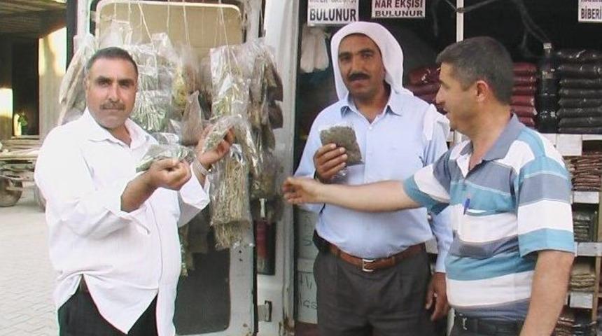 Zayıflamak İsteyenler Şifalı Bitkileri Tercih Ediyor