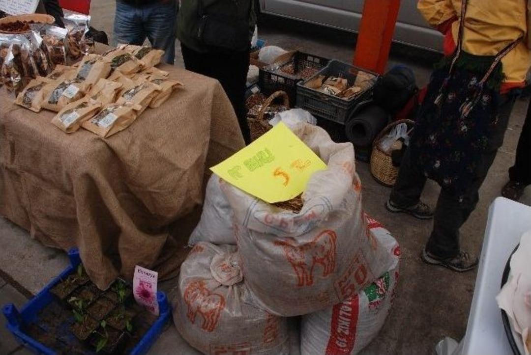 At G&uuml;bresi 5 Tl