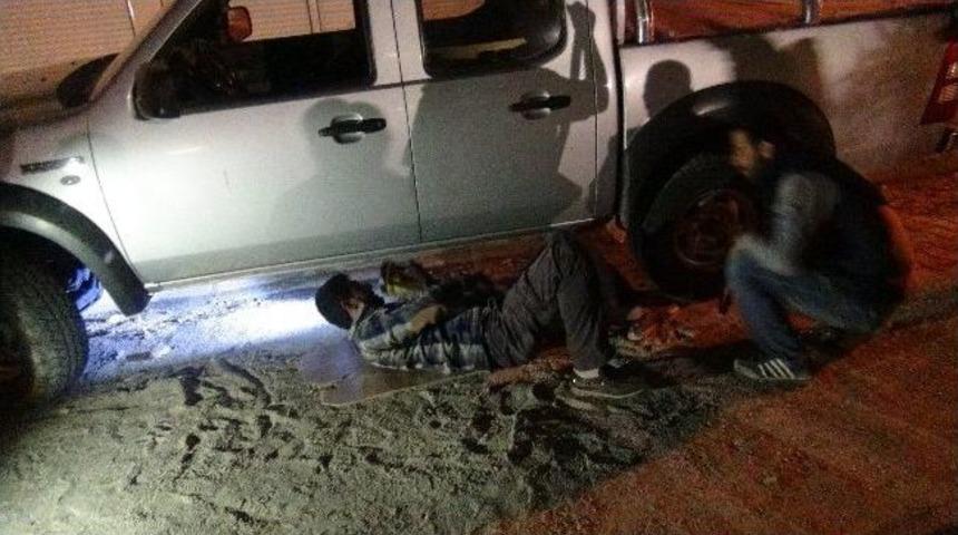 Nusaybin’de Araçtan Yılan Çıkartma Operasyonu