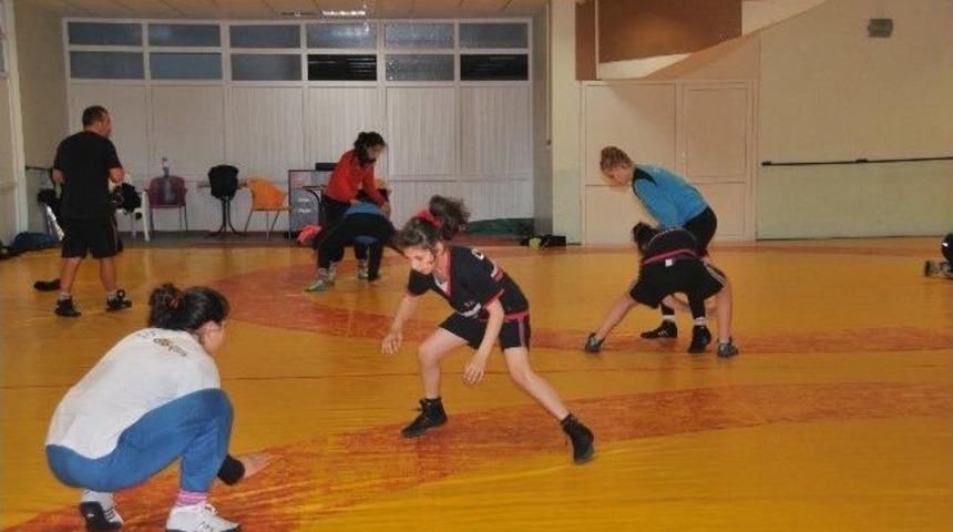 Yıldız G&uuml;reş Milli Takımı Şampiyonaya Edirne'de Hazırlanıyor