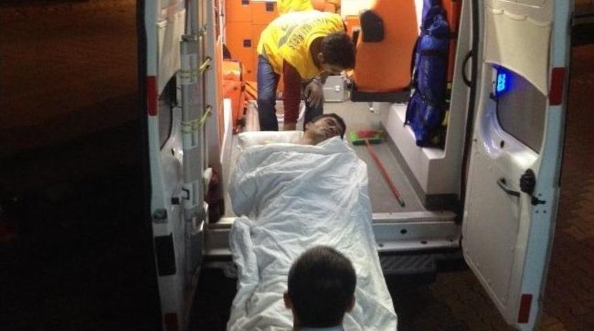 &Ouml;ld&uuml;resiye D&ouml;v&uuml;p Tarlaya Attılar