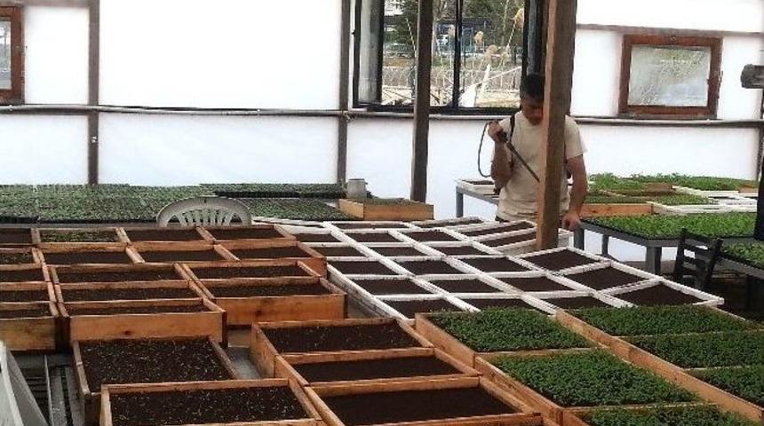 Uygulama Bah&ccedil;esi&rsquo;nde &Uuml;retim Başladı