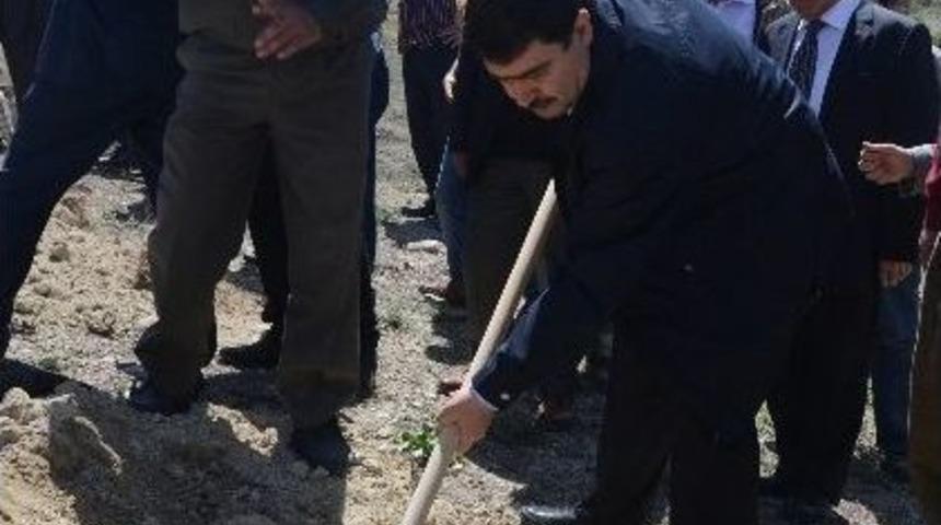 Birlik Vakfı Tarafından Fidan Dikim T&ouml;reni Yapıldı