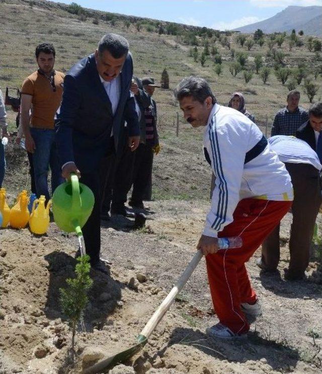 Birlik Vakfı Tarafından Fidan Dikim Töreni Yapıldı