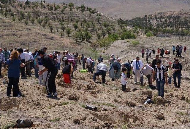 Birlik Vakfı Tarafından Fidan Dikim Töreni Yapıldı