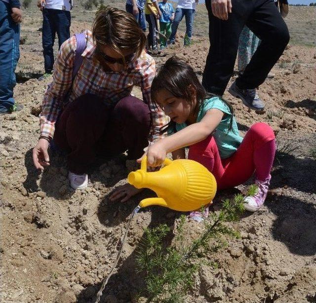 Birlik Vakfı Tarafından Fidan Dikim Töreni Yapıldı