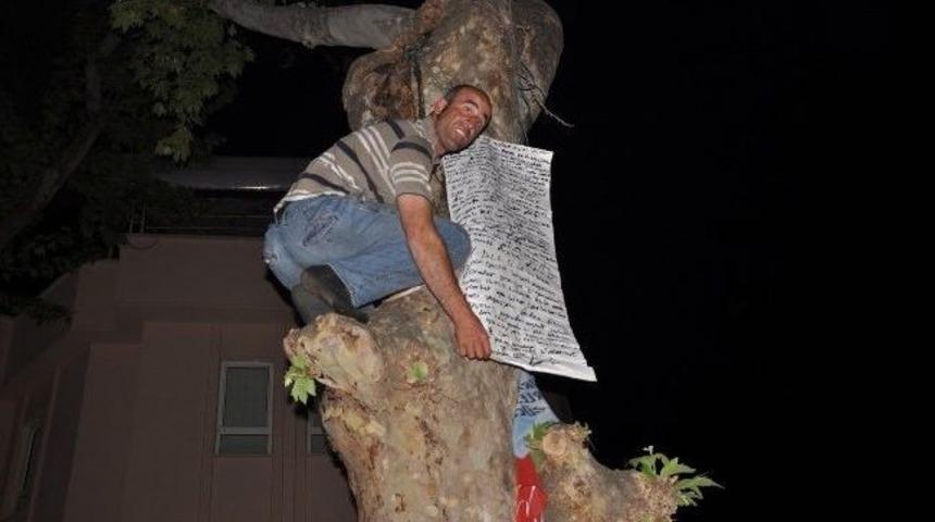 Bu Kez S&ouml;z&uuml;n&uuml; Tutmayanlar İ&ccedil;in Aynı Ağaca &Ccedil;ıktı