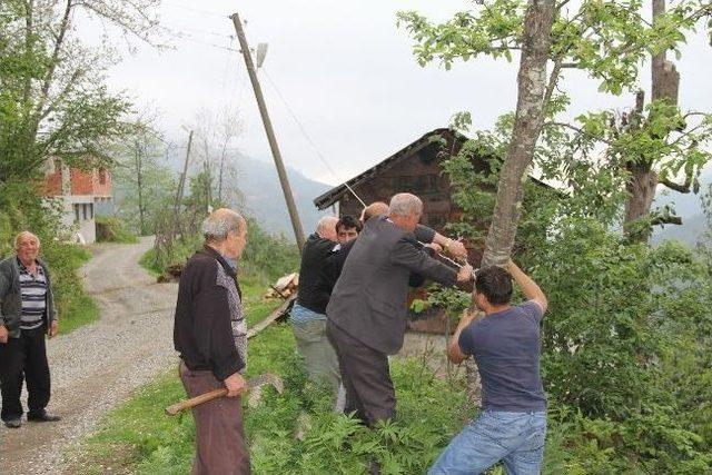 Elektrik Kesintileri Köylüyü Bıktırdı