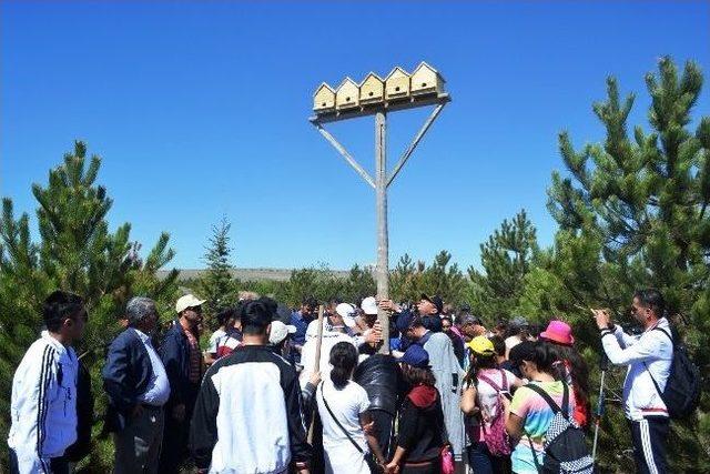 Jandarma’dan Karapınar’da Doğa Yürüyüşü