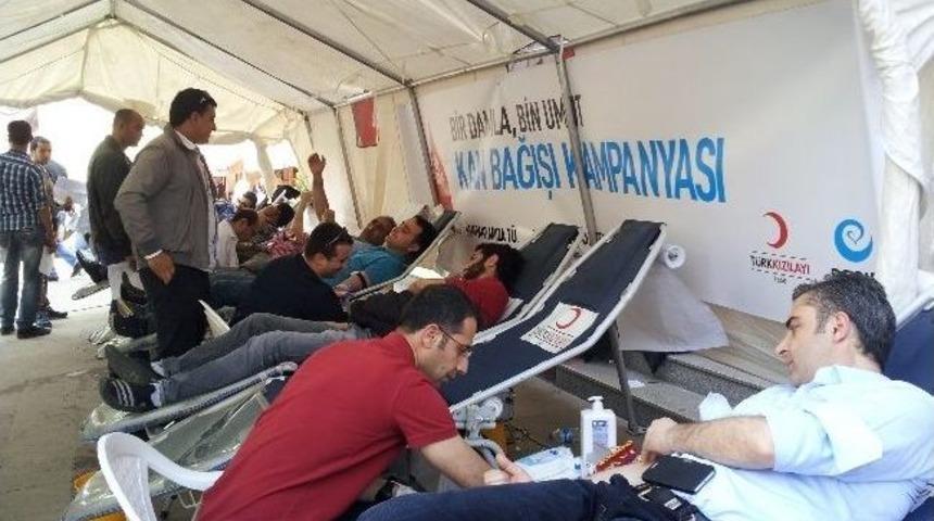 Bing&ouml;l&rsquo;de Kan Bağışına Yoğun İlgi