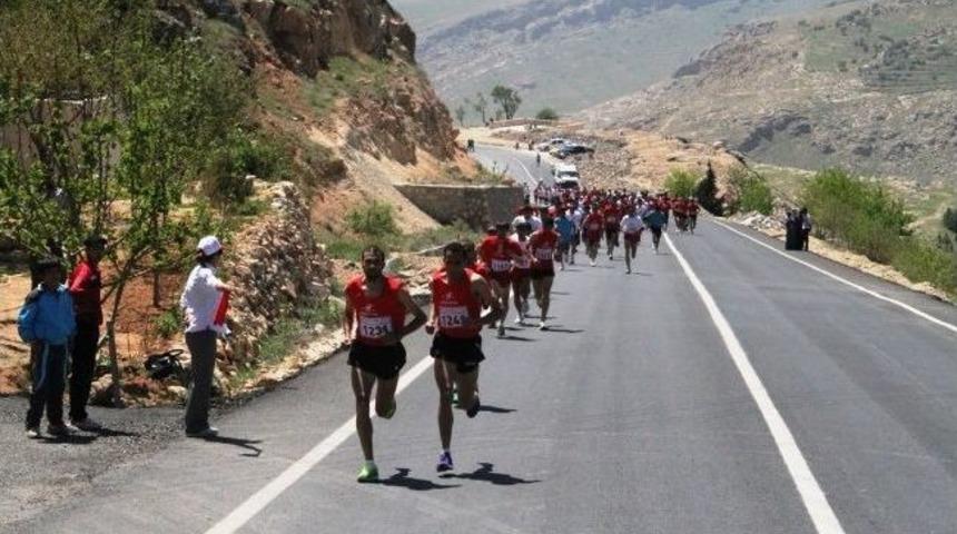 Mardiven Koşusuna B&uuml;y&uuml;k İlgi