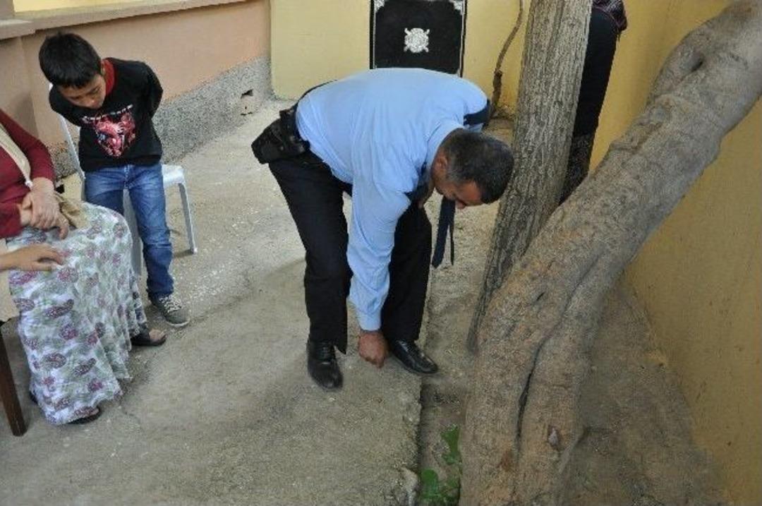 Ağa&ccedil; Yaprakları Maganda Kurşununa Siper Oldu