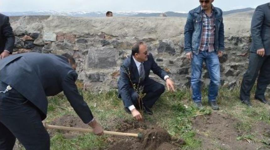 M&uuml;ft&uuml; Yılmaz; "mezarlığa Dikilen Ağa&ccedil;lar, Mezarlıkta Yatanlar İ&ccedil;in Rahmete Vesiledir"