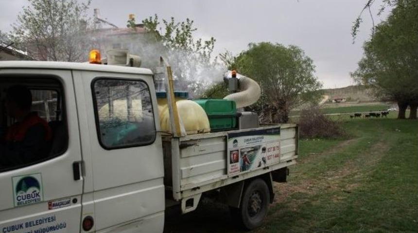 &Ccedil;ubuk'ta Haşereyle M&uuml;cadele Başladı