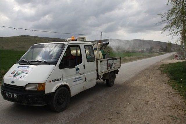 Çubuk'ta Haşereyle Mücadele Başladı