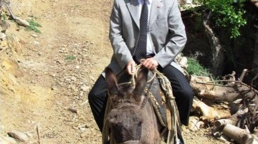 Eşek Sırtında Bir Kaymakam