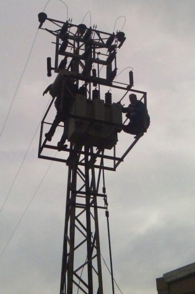 Elektrik Direğinde Kalp Krizinden Öldü