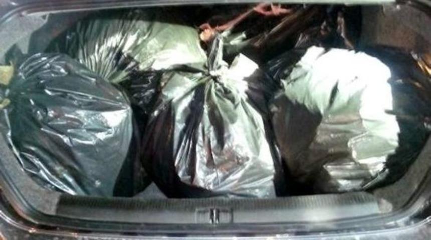 Şanılurfa&rsquo;da 45.6 Kilo Esrar Ele Ge&ccedil;irildi