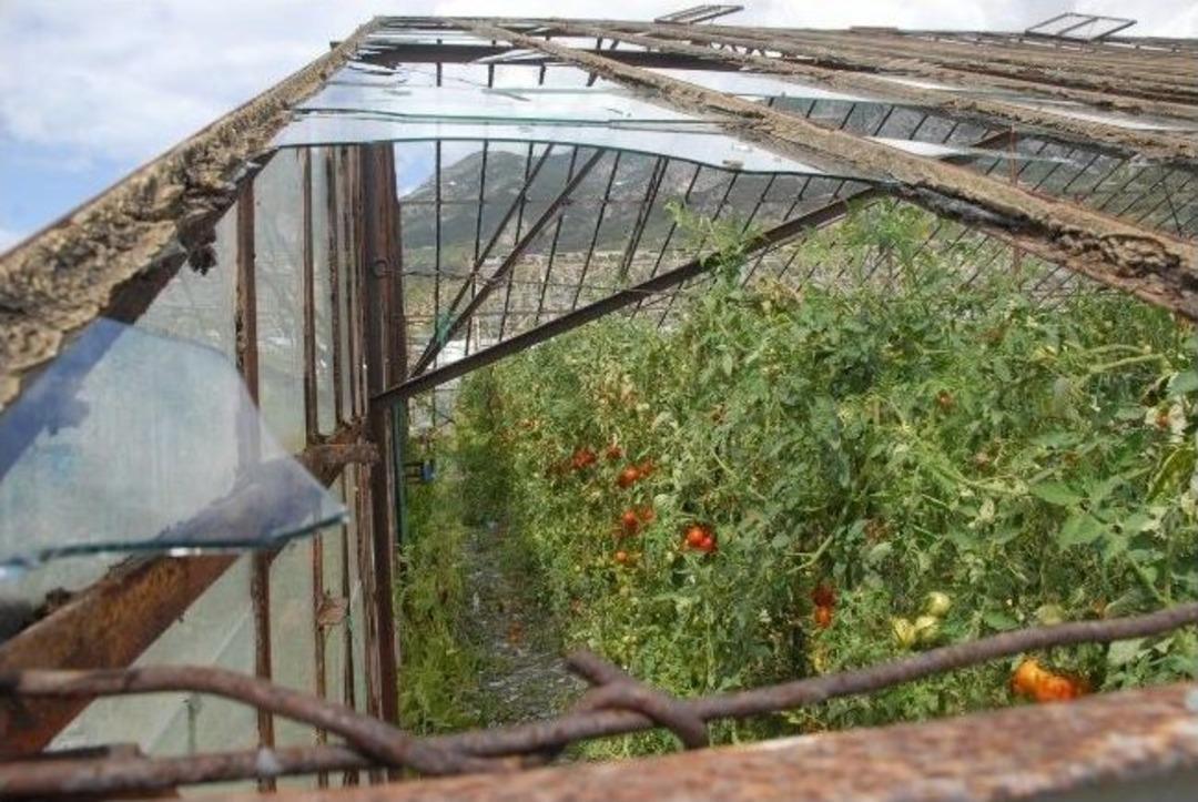 Seydikemer'de Dolu Cam Seraları Vurdu