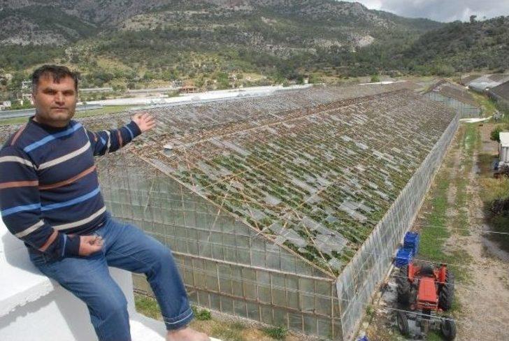 Seydikemer'de Dolu Cam Seraları Vurdu G1