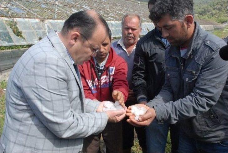 Seydikemer'de Dolu Cam Seraları Vurdu G4