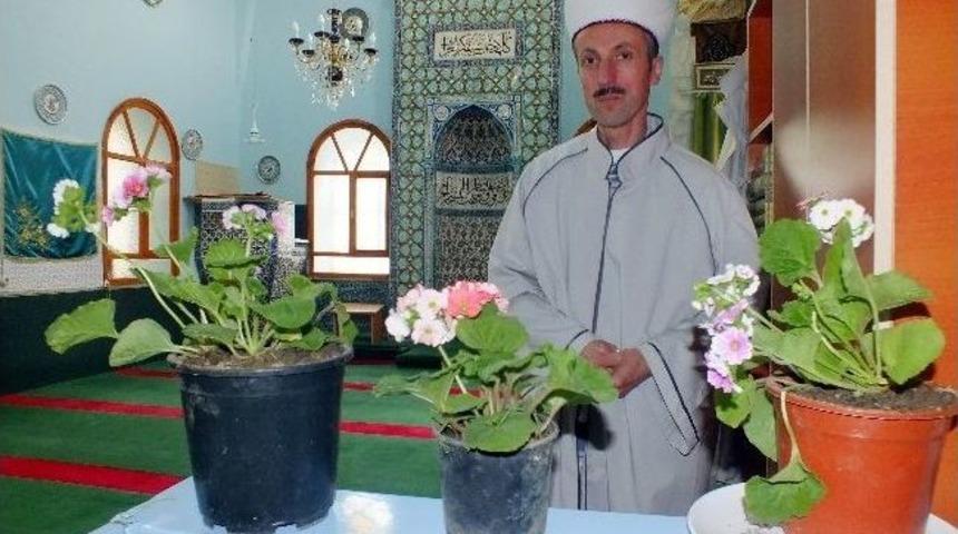 G&ouml;rev Yaptığı Camiyi &Ccedil;i&ccedil;ek Bah&ccedil;esine &Ccedil;evirdi
