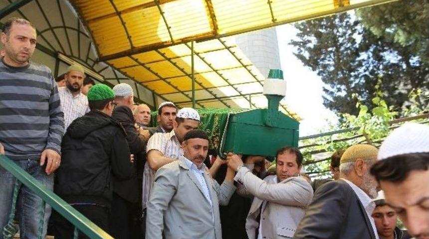 Taylan'ın Acı G&uuml;n&uuml;