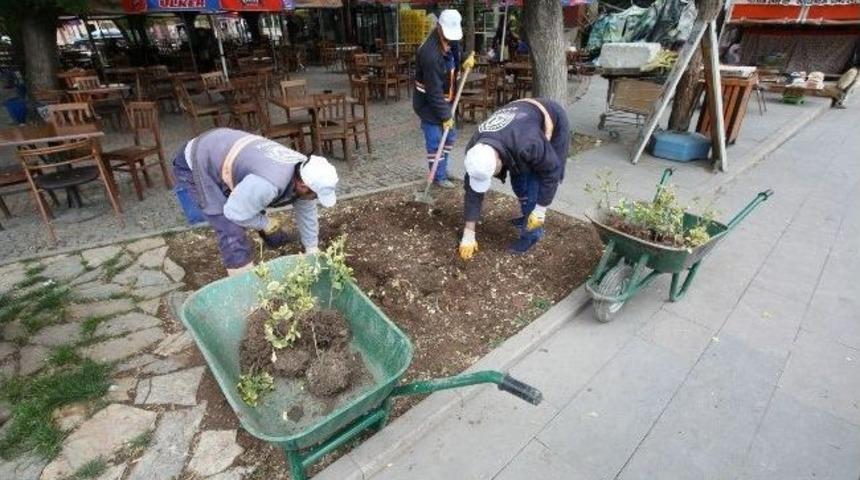 Odunpazarı &Ccedil;i&ccedil;ekle Donatılıyor
