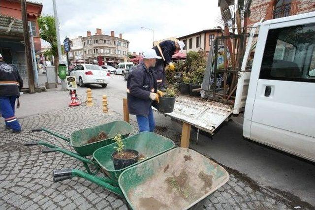 Odunpazarı Çiçekle Donatılıyor