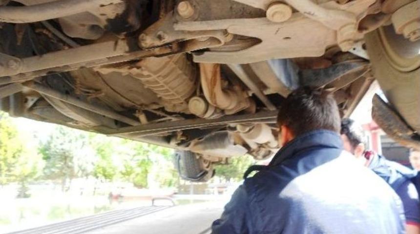 Zabıta Aracına Sıkışan Kedi İ&ccedil;in Seferber Oldular