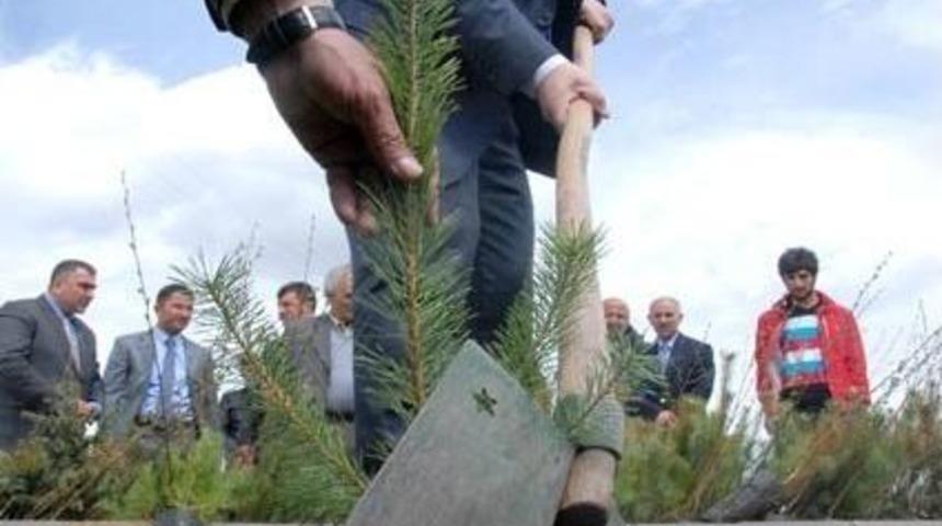 Şehitlikte Fidan Dikimi