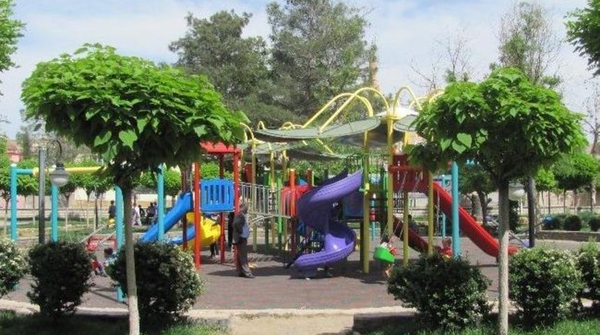 Arabanlı &Ccedil;ocuklara Yeni Oyun Grubu