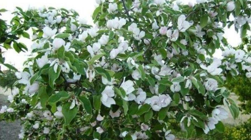 Bilecik'te Bisiklet Turu D&uuml;zenlenecek